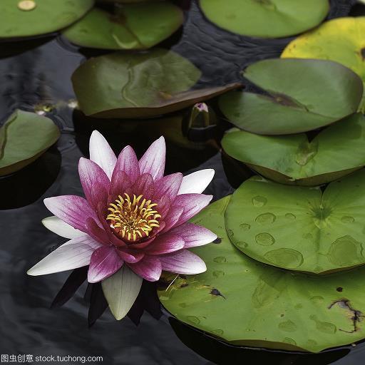明光铮亮