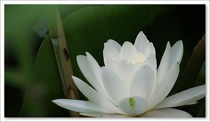 上不得台盘