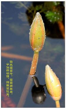 恶衣恶食