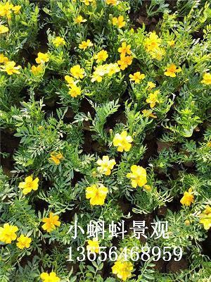从何说起