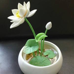 仰取俯拾
