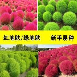 凿凿有据