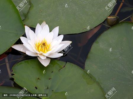 辙环天下