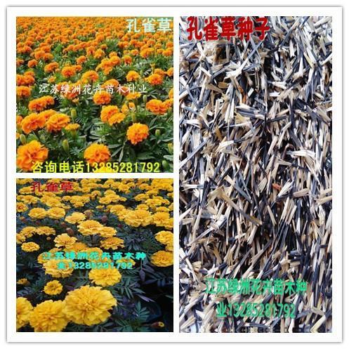 满纸空言