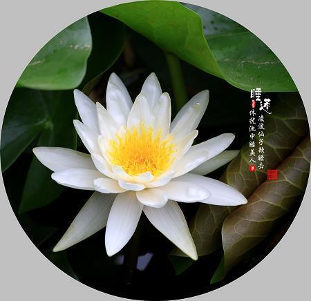器满意得