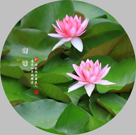 年经国纬