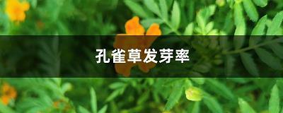 积毁销金