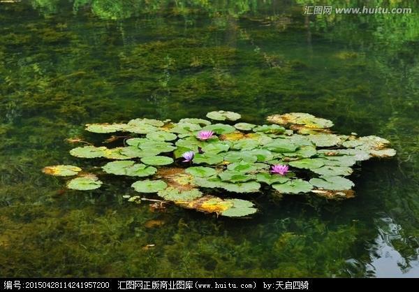 翰林子墨