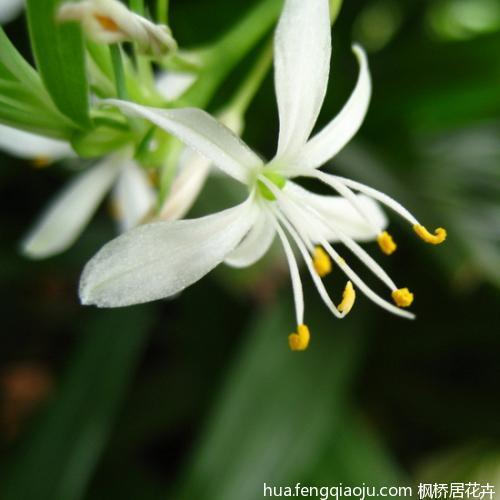 应答如注