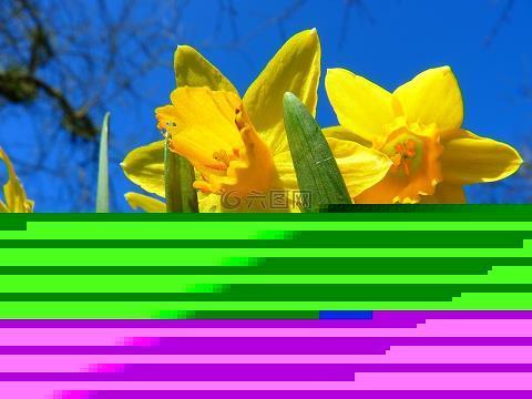 游响停云