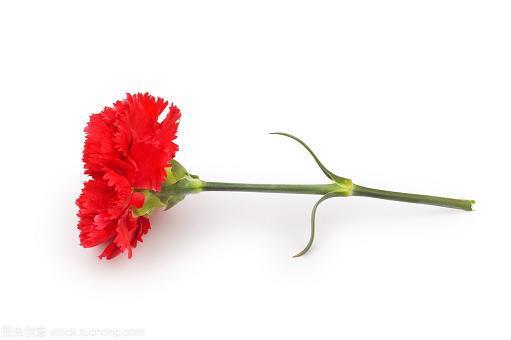同利相死