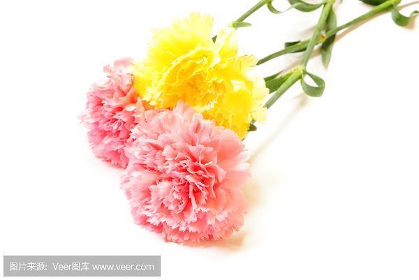 声销迹灭