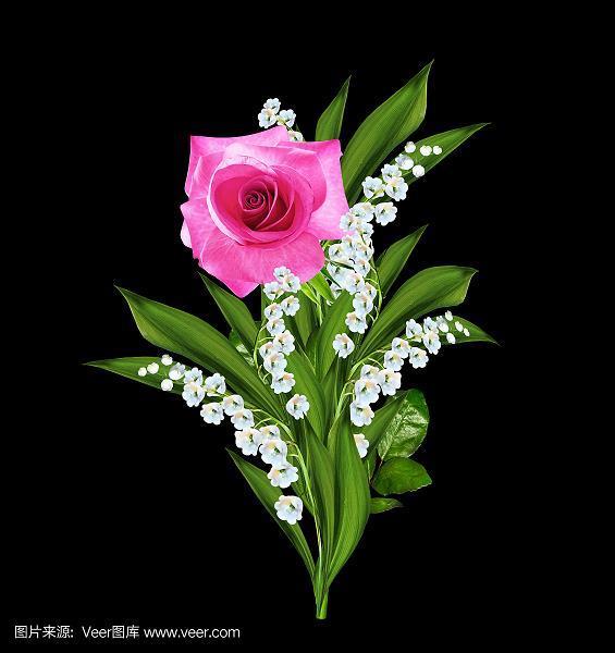 阪上走丸