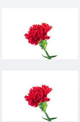不可侵犯