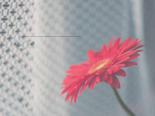 永世无穷