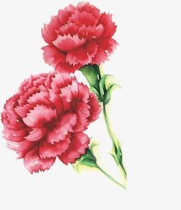 鳏鱼渴凤