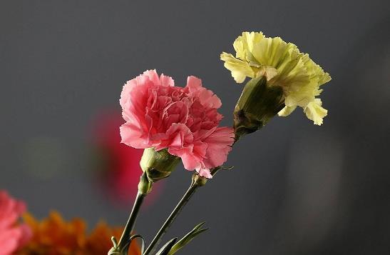 人生与酒的唯美句子