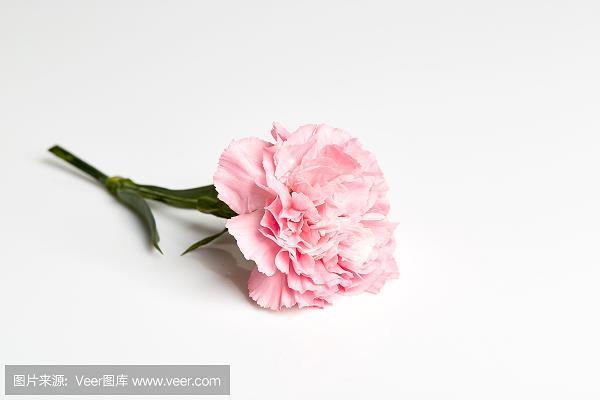 动魄惊心