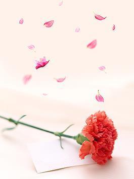 感悟人生的经典句子说说心情摘抄22句