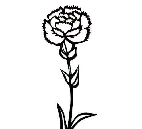 观山翫水