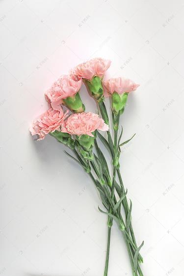 有口皆碑
