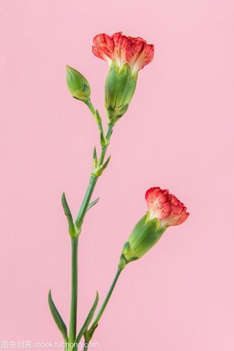 竹篮打水