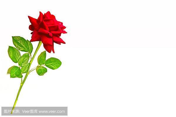 风丝不透