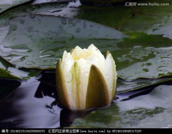 世道浇漓