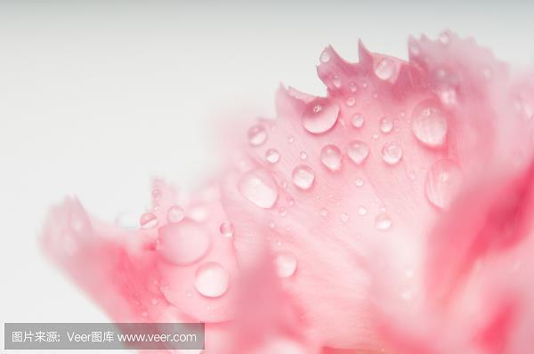 推诚相见