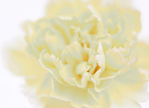 操之过蹙