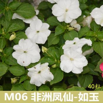 清水衙门
