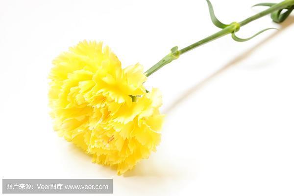 挽弩自射