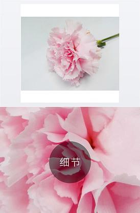 风发泉涌