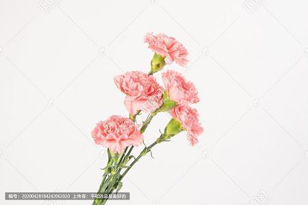心情不爽想发泄的语句