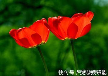 他乡异县