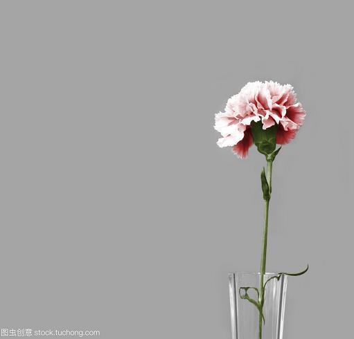刳肝沥胆