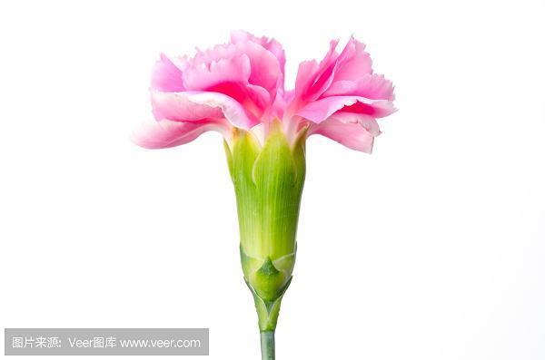 货赂大行