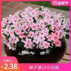 十步之内，必有芳草