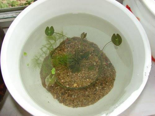 执而不化