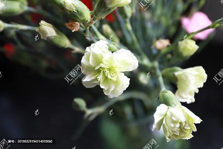 发奸摘伏