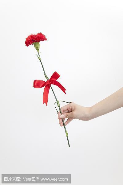 白驹过隙
