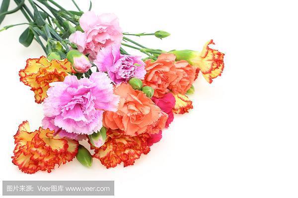 明知故犯