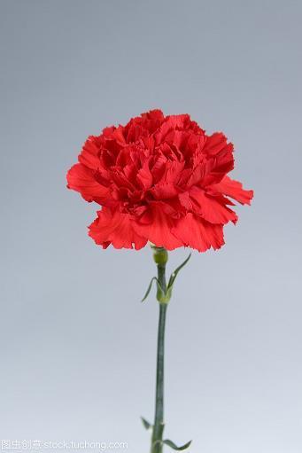 重床叠架