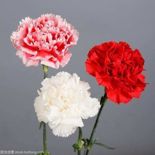计研心算