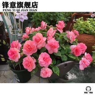 不改其乐