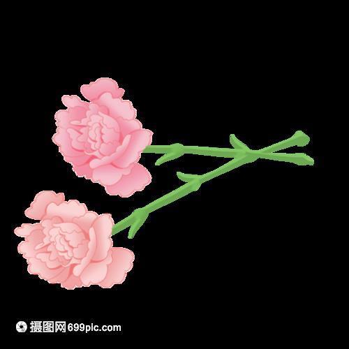 芝艾俱焚