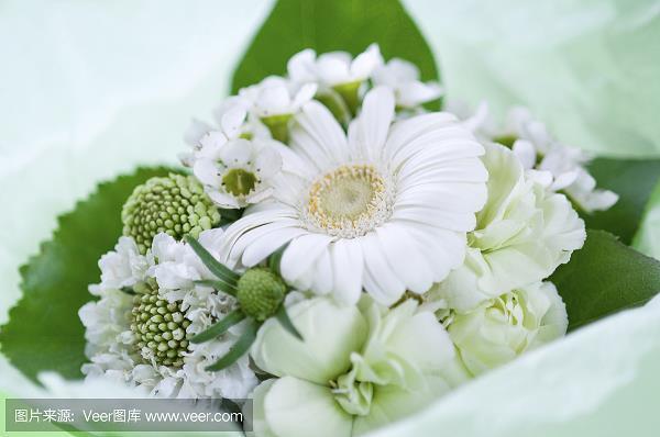 纤芥无爽