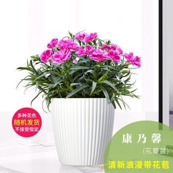 百战百胜