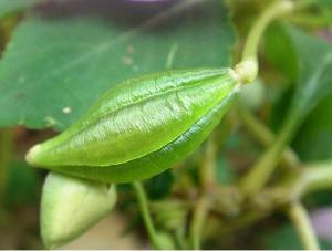 教师节朋友圈文案句子（精辟）(精选97句)