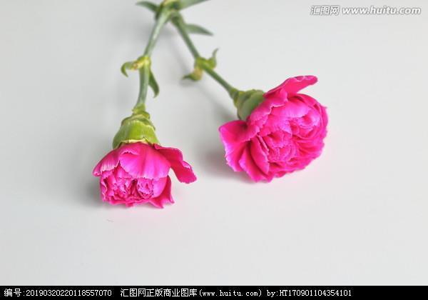 适性忘虑
